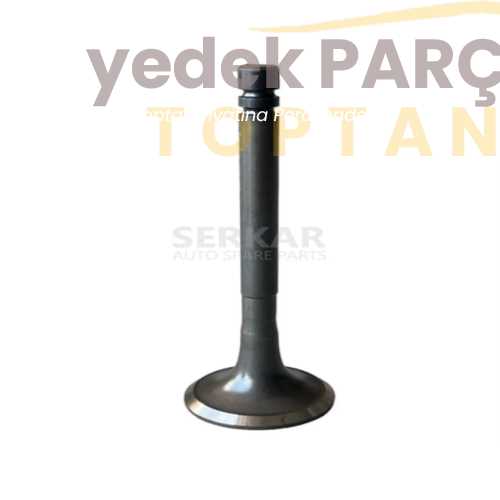 RENAULT R9 SUBAP TAKIMI NİTRASYONLU 34.1x7x90.7-29x7x89